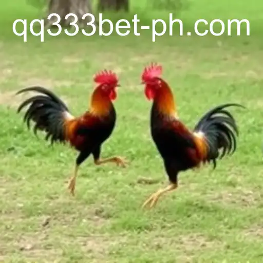 Exploring Sabong Games: Tradition and Modern Platforms like qq333bet